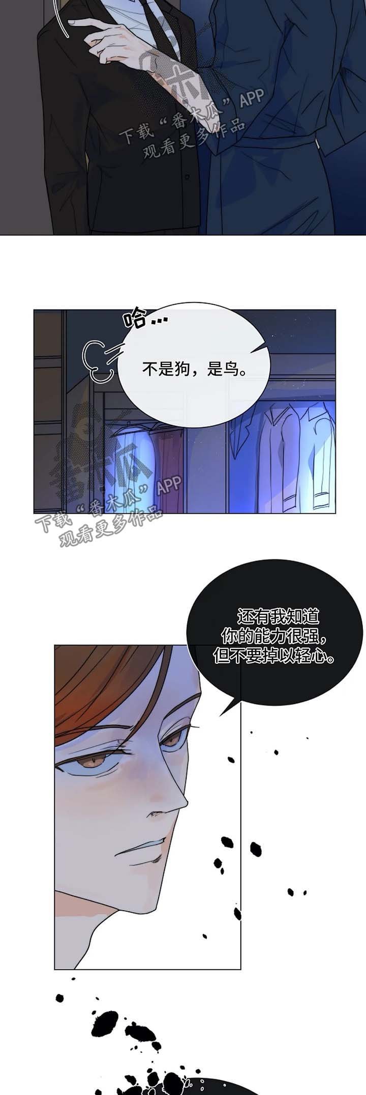 第40章：狗急跳墙