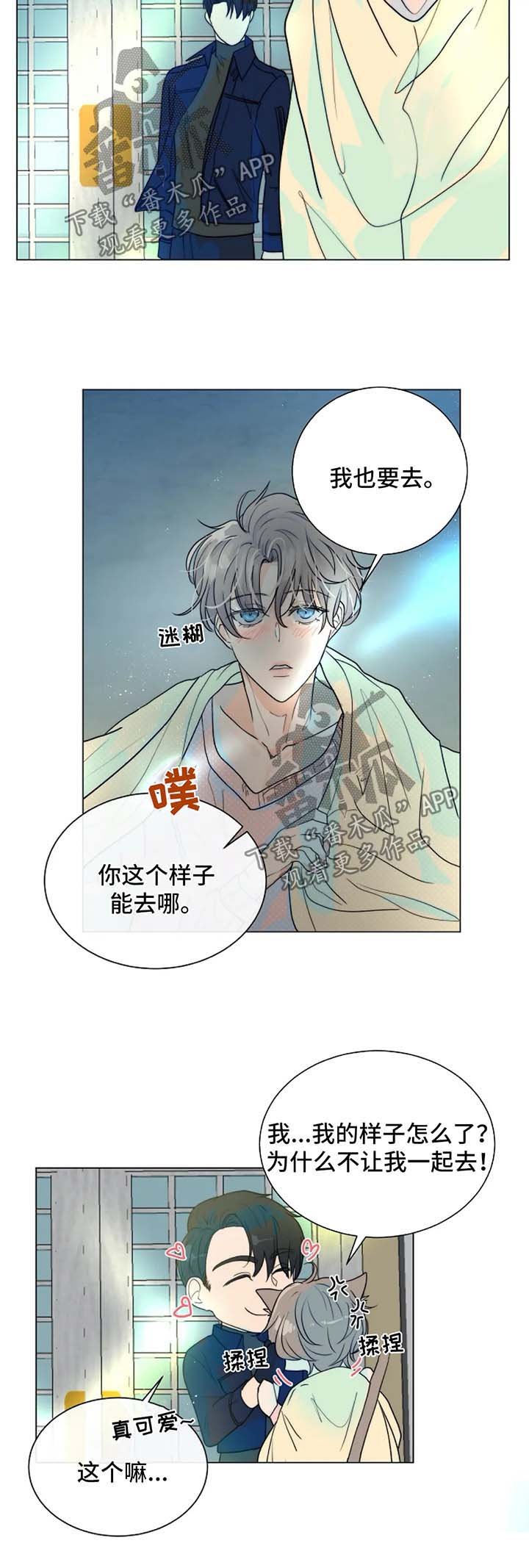 第41章：不是你要等的人