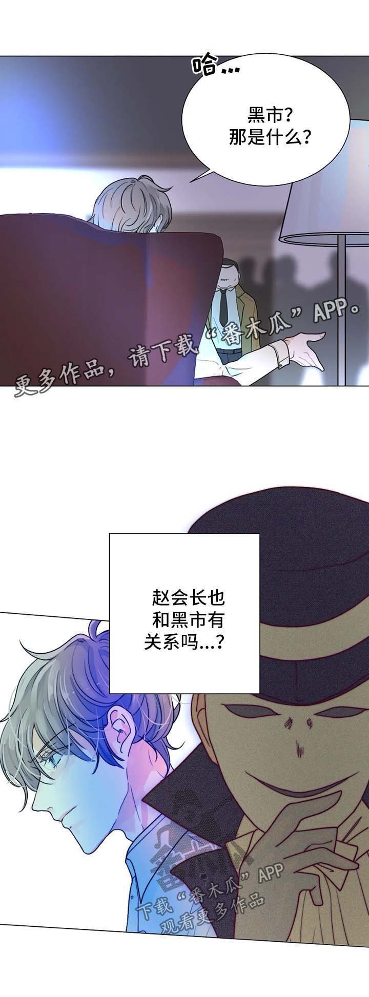 第42章：咬人的狗