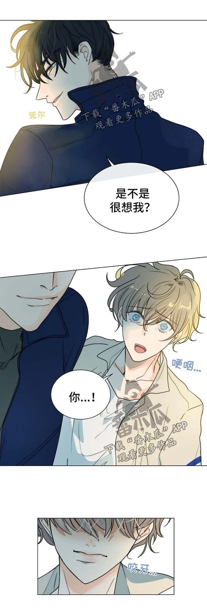 第44章：放火的凶手