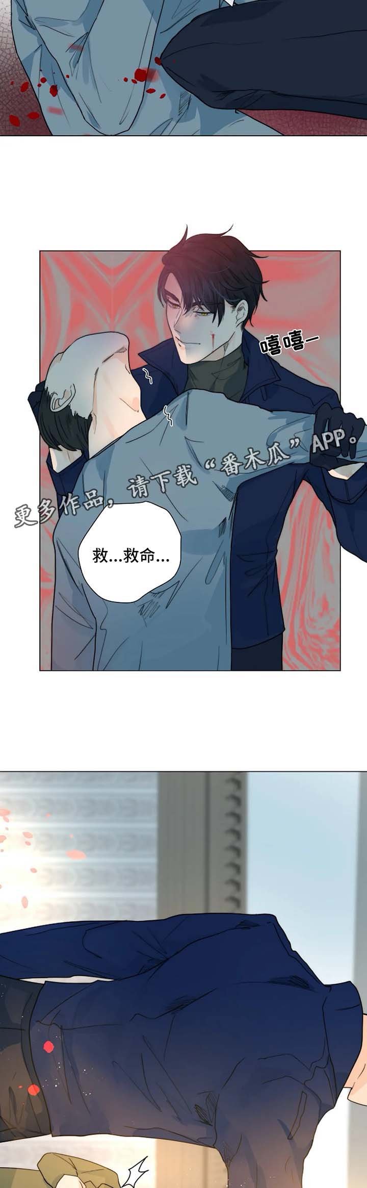 第44章：放火的凶手