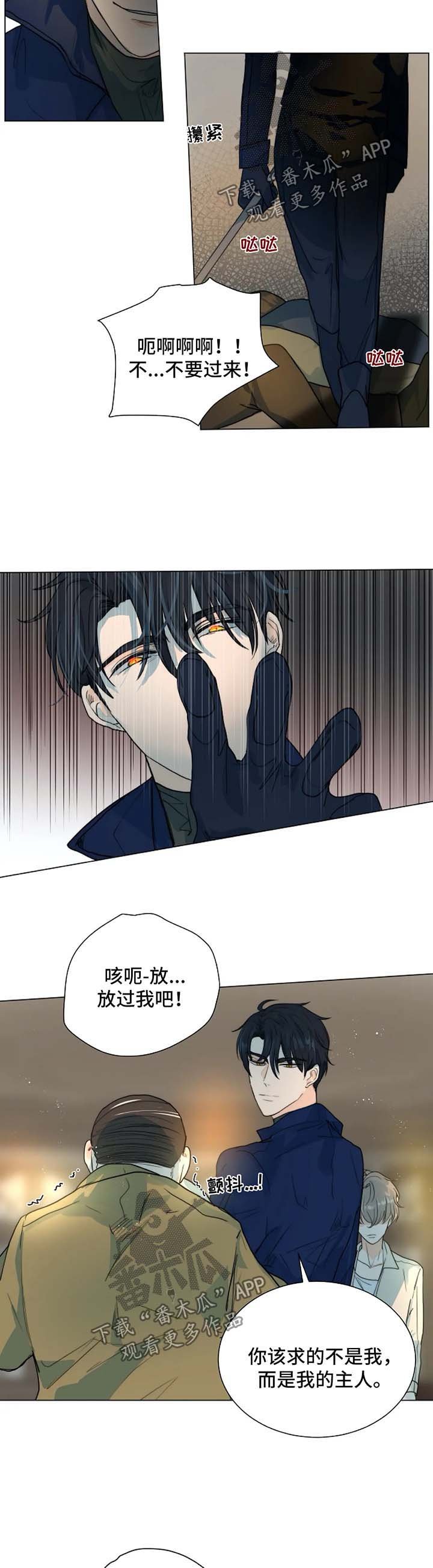 第44章：放火的凶手