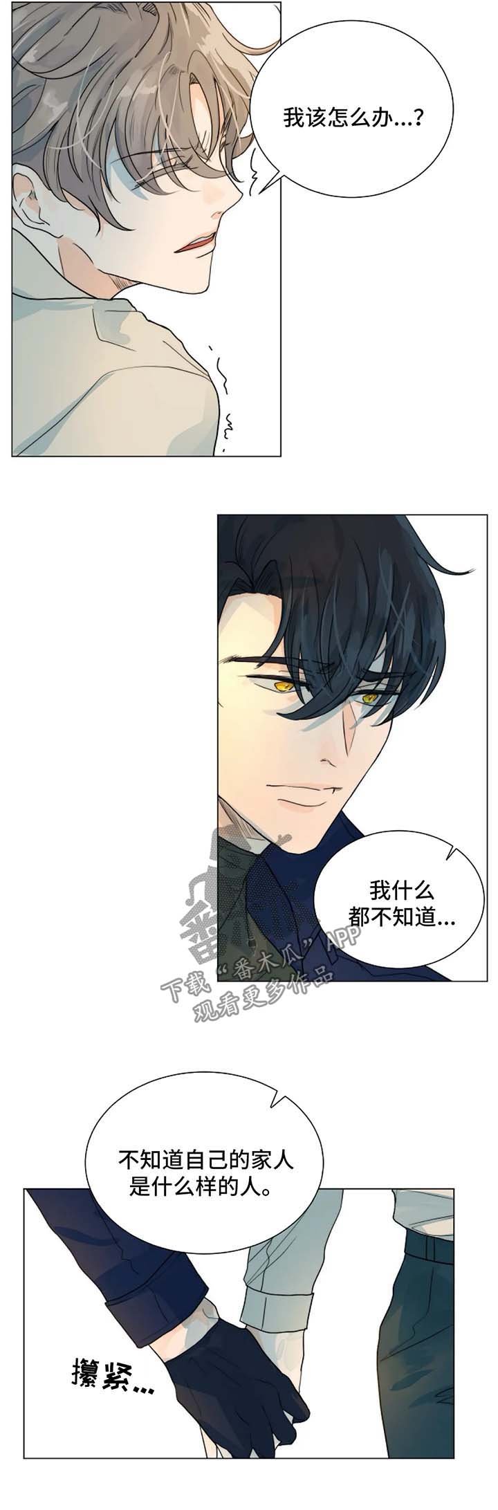 第45章：真相