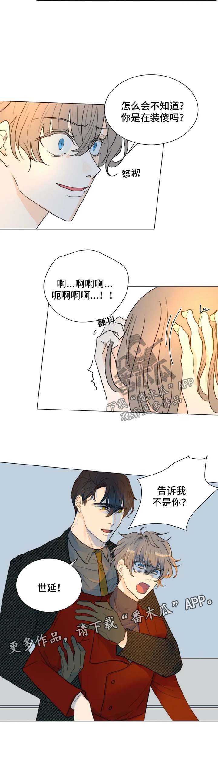 第46章：质问哥哥