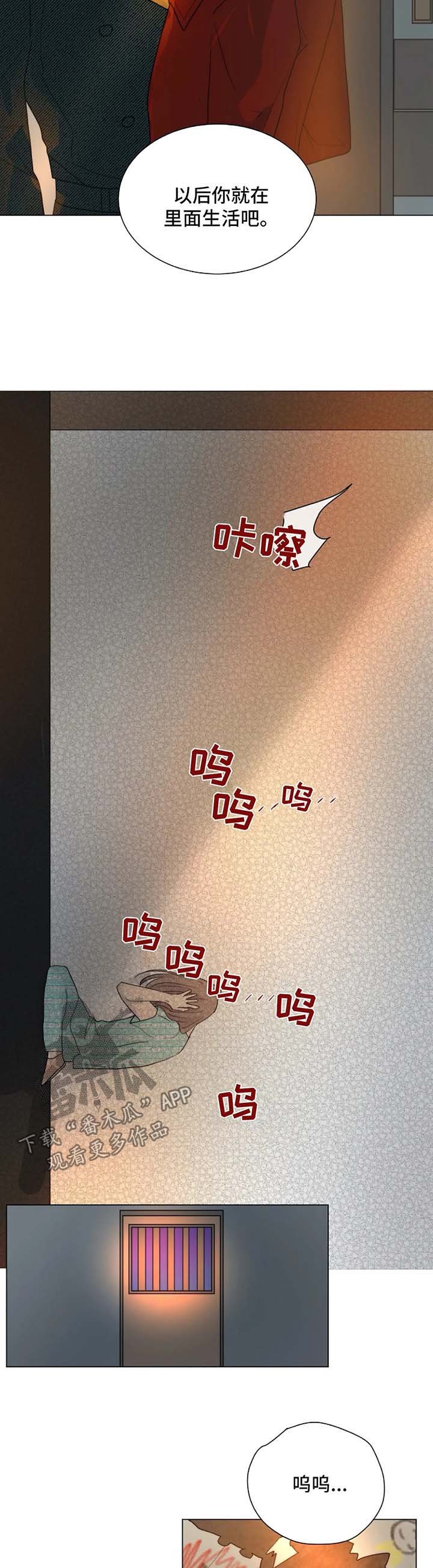 第47章：急性子