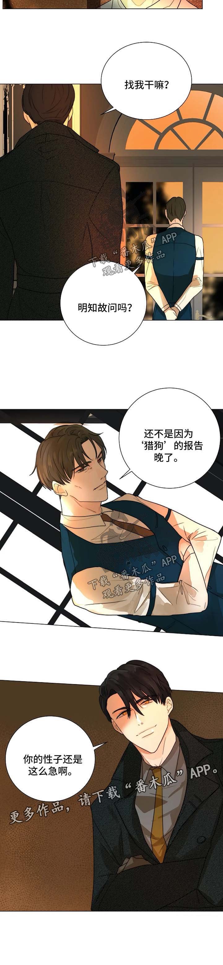 第47章：急性子