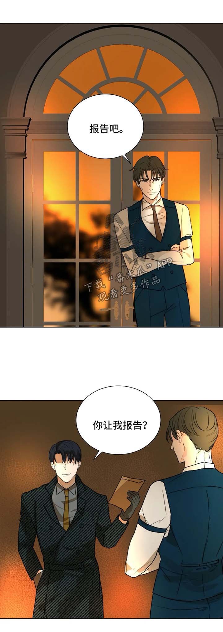 第48章：汇报报告