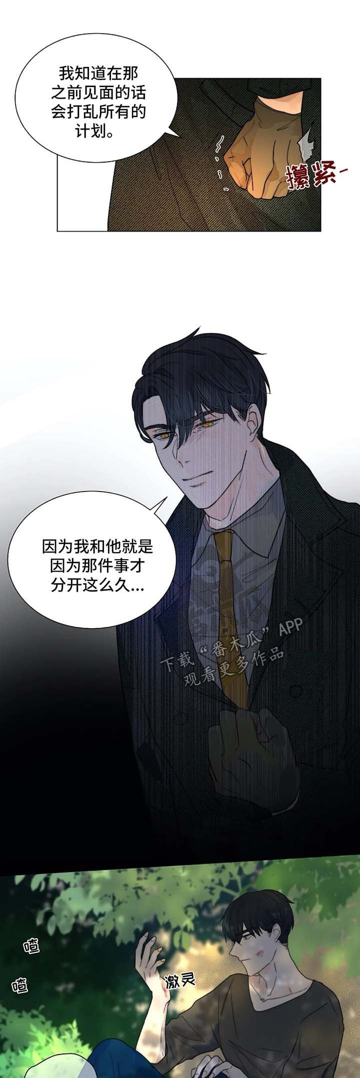 第48章：汇报报告