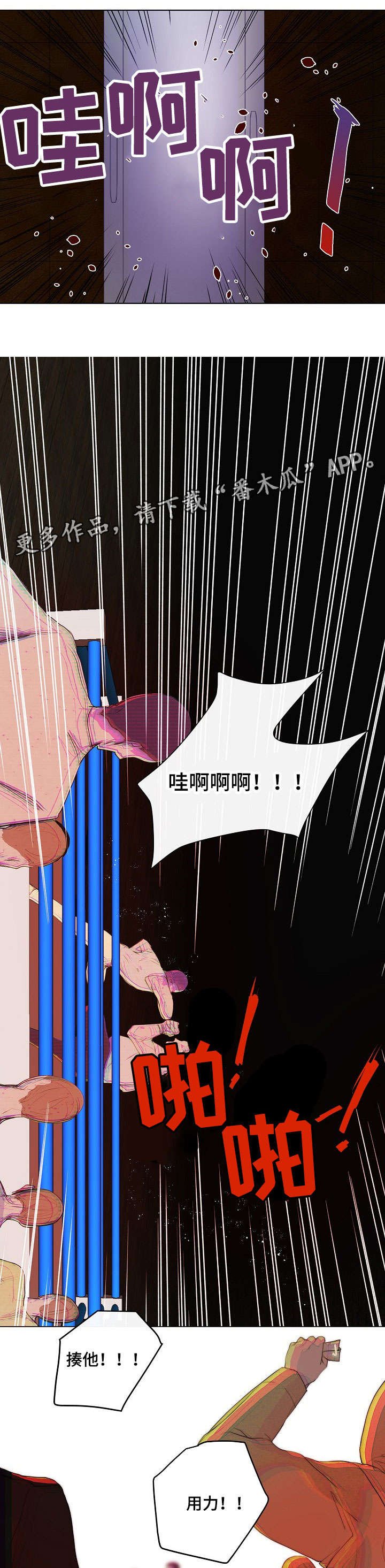 第5章：拳市