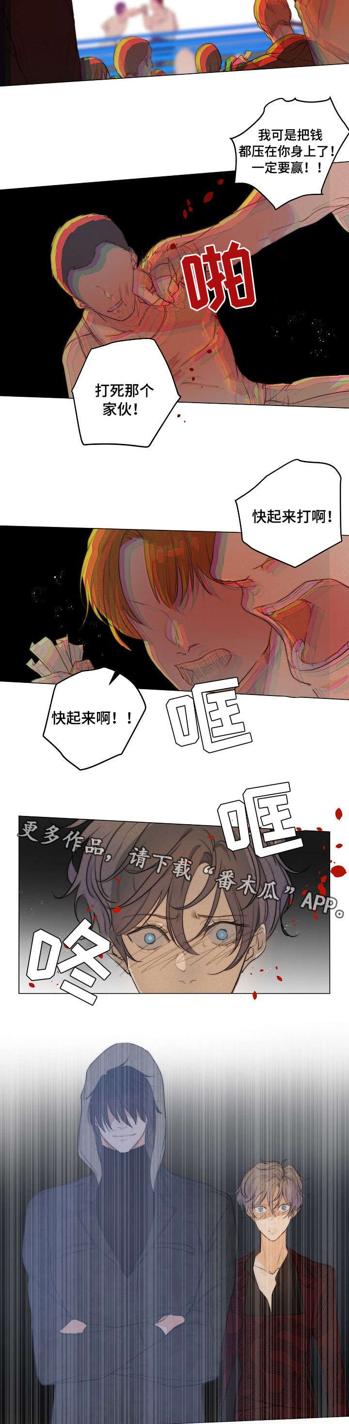 第5章：拳市