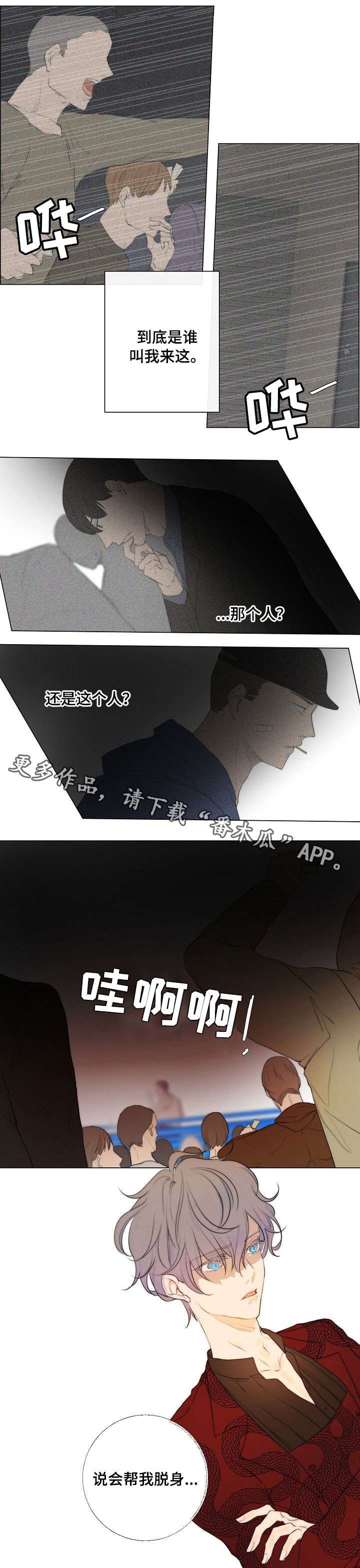 第5章：拳市