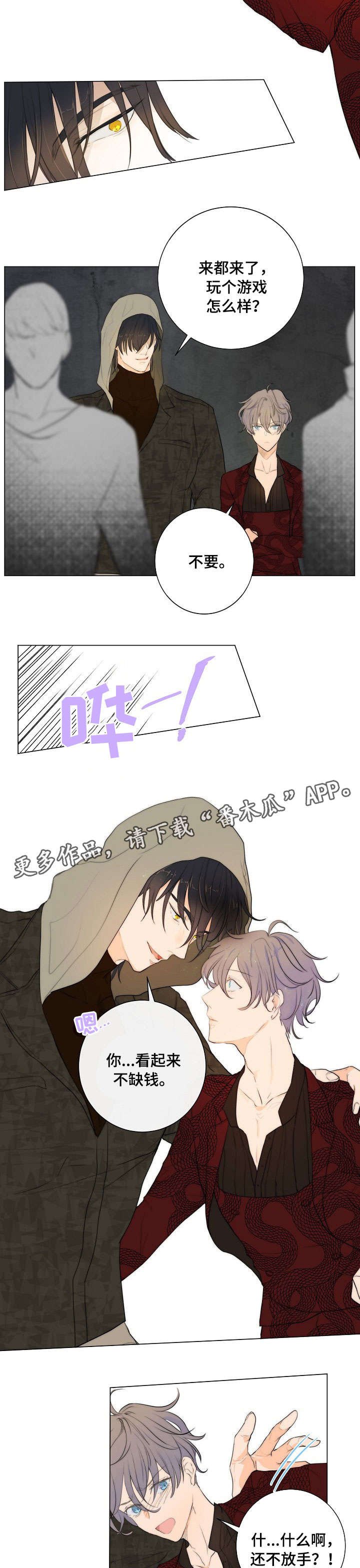 第5章：拳市