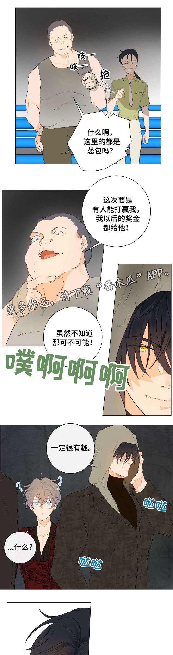 第5章：拳市