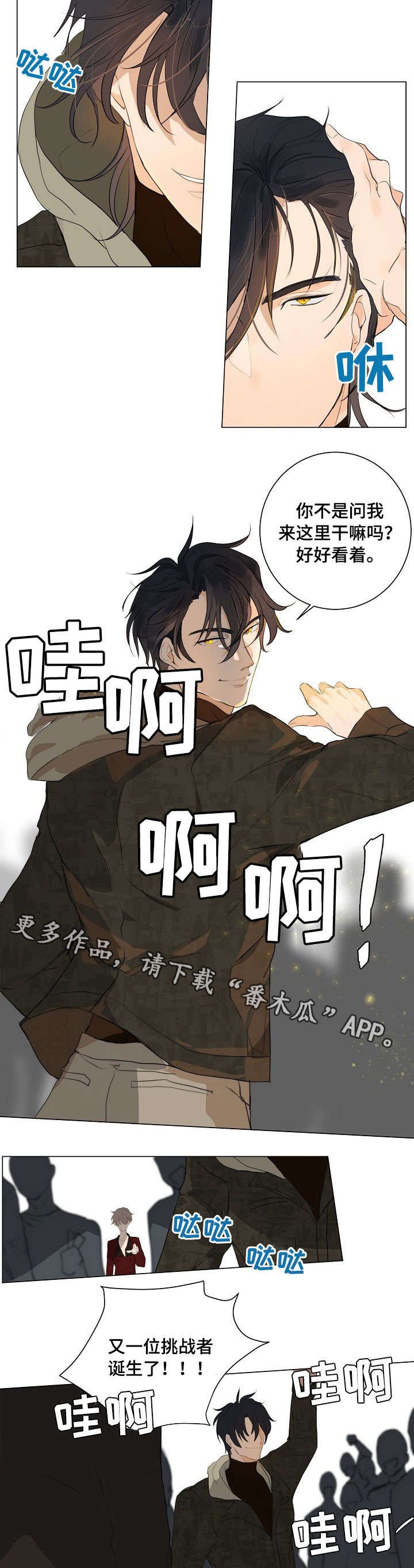 第5章：拳市