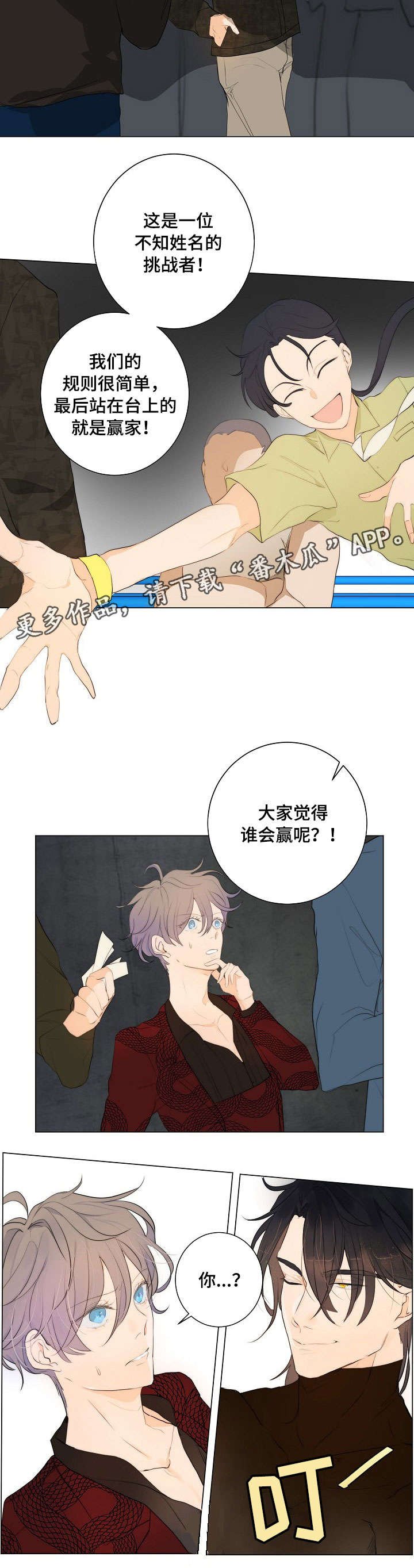 第5章：拳市