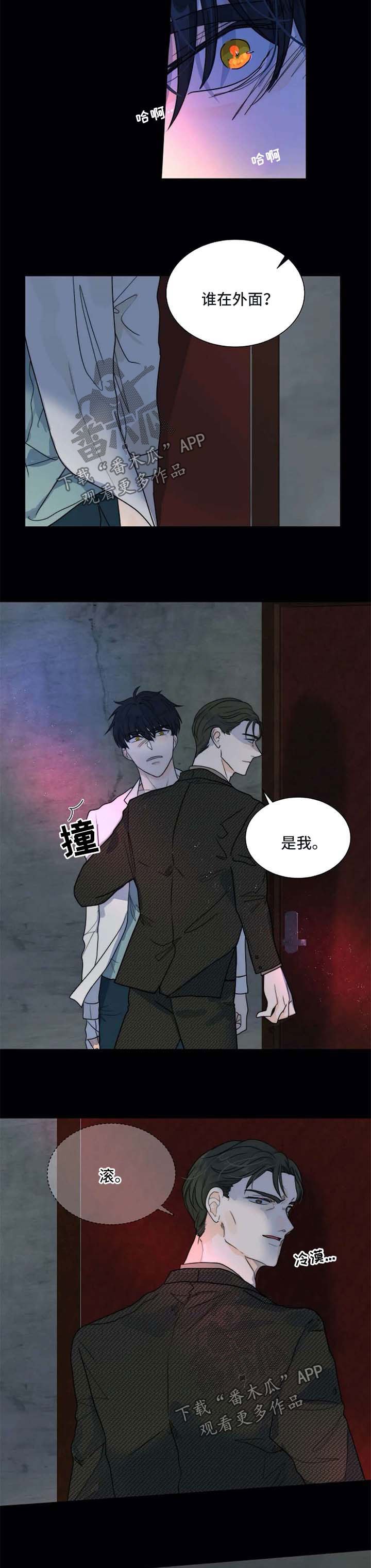 第56章：一辈子保护你