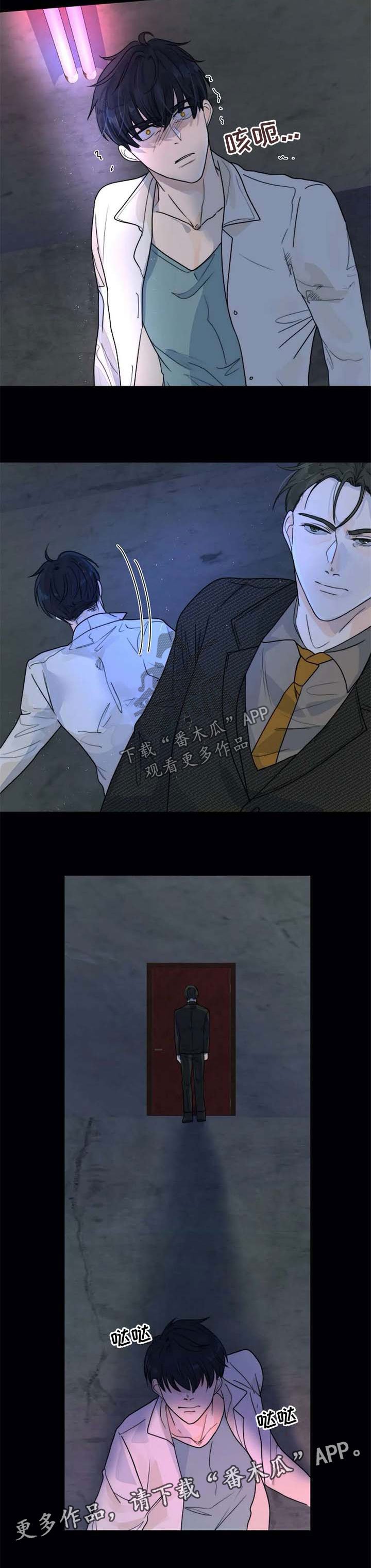 第56章：一辈子保护你