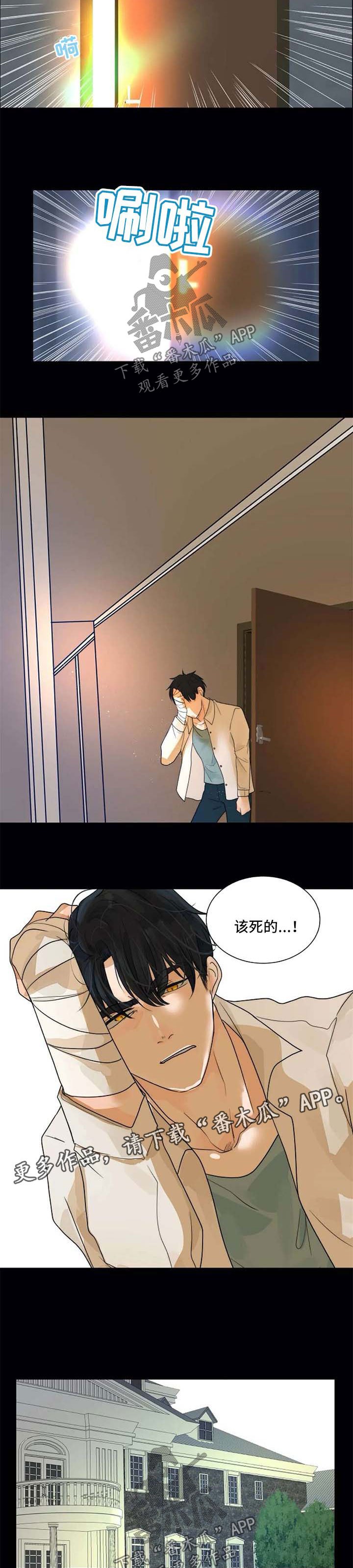 第56章：一辈子保护你