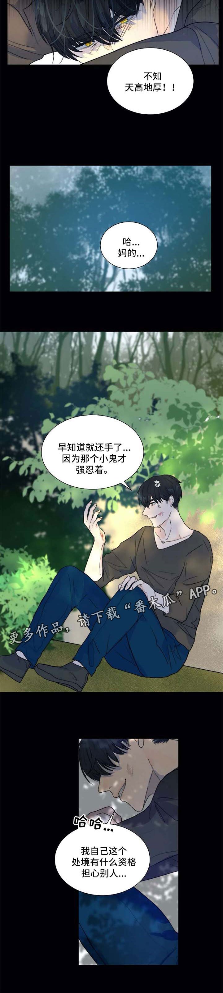 第56章：一辈子保护你