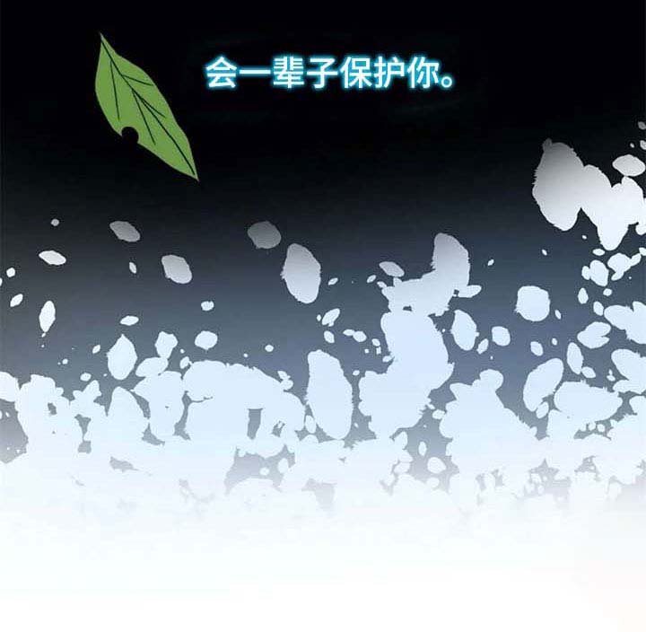 第56章：一辈子保护你