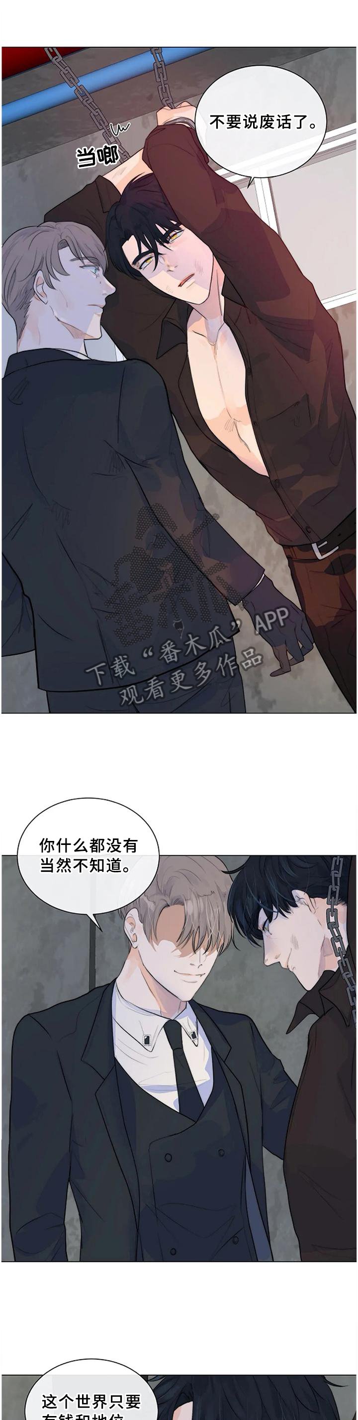 第66章：明亮的未来