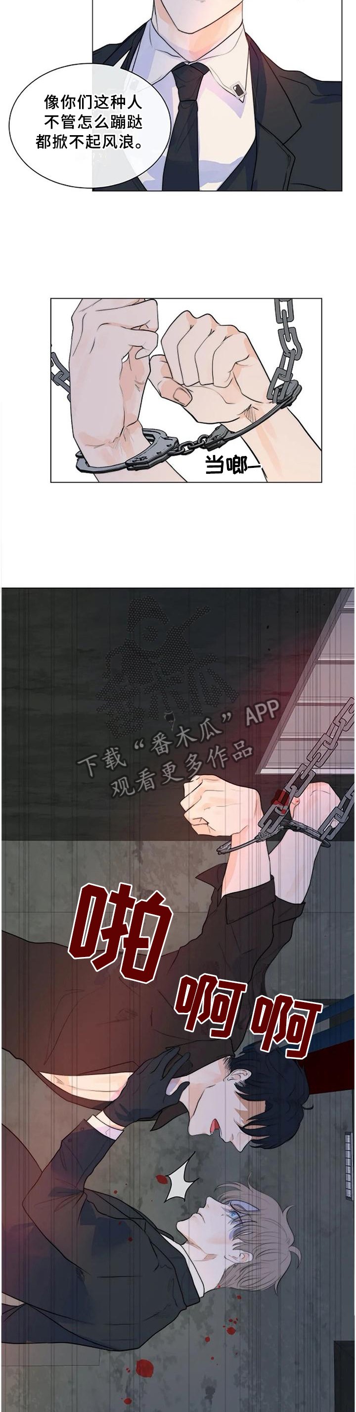 第66章：明亮的未来
