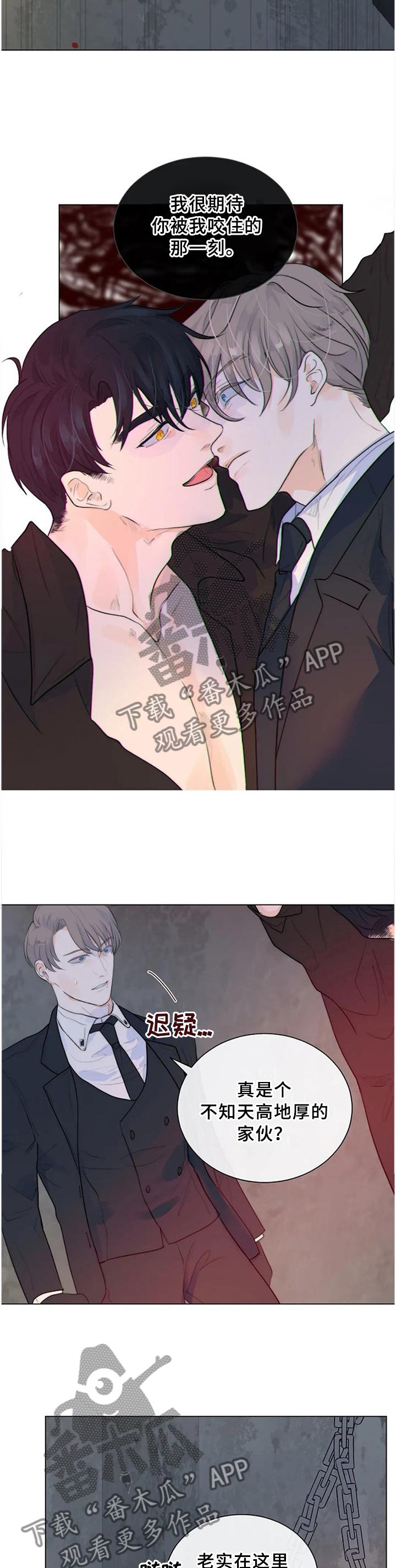 第66章：明亮的未来