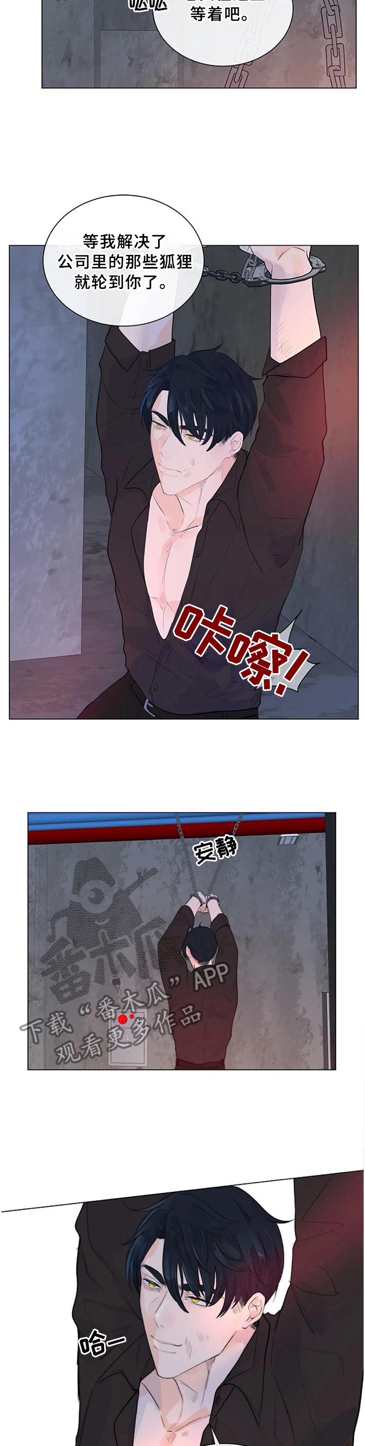 第66章：明亮的未来
