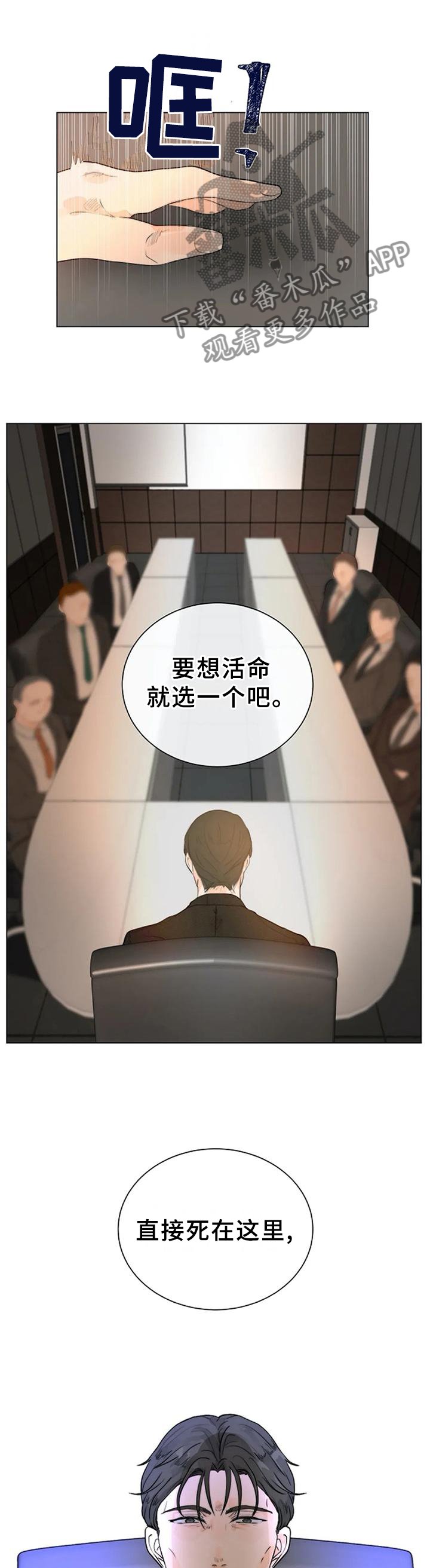 第66章：明亮的未来