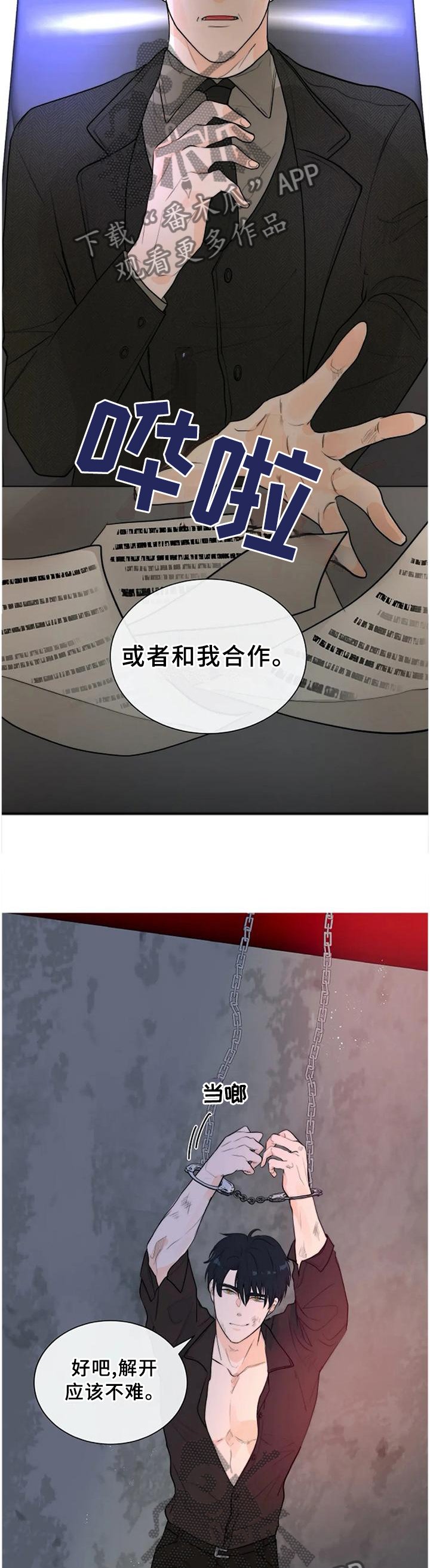 第66章：明亮的未来