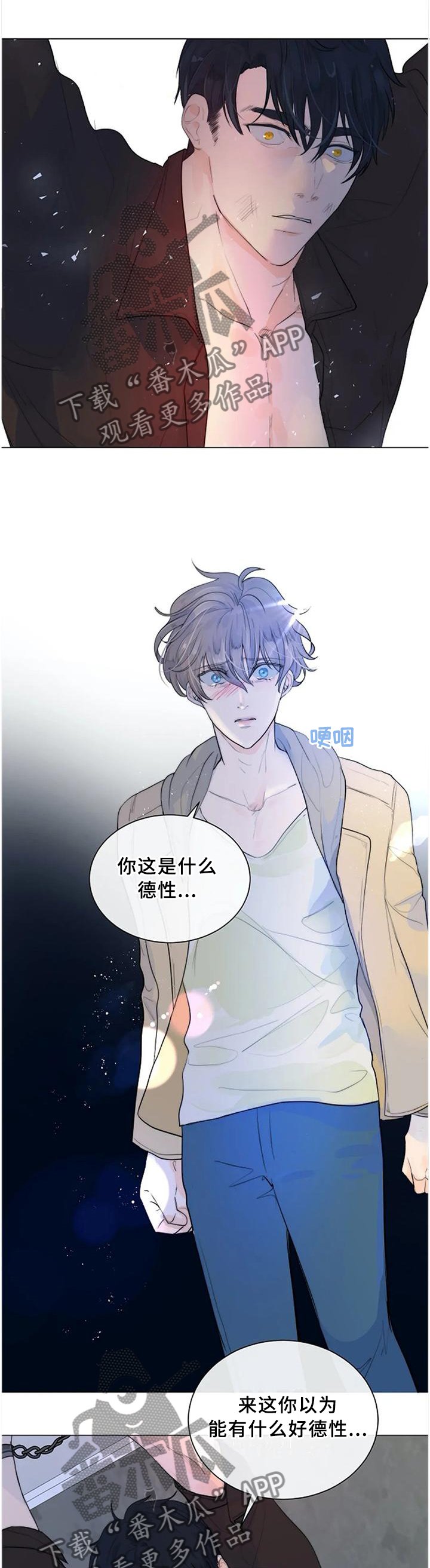 第67章：世上的全部