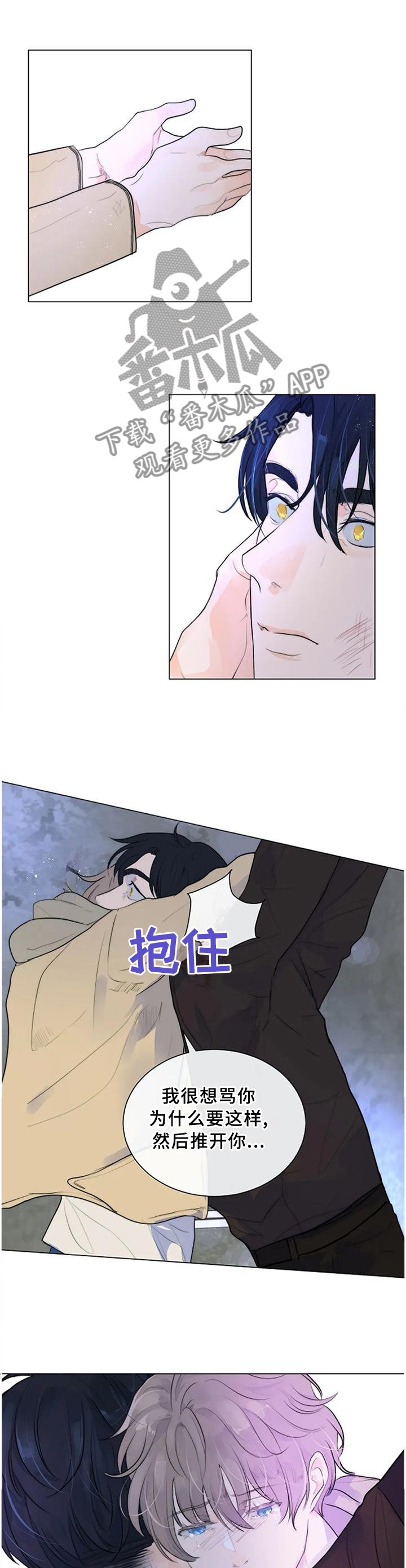 第67章：世上的全部