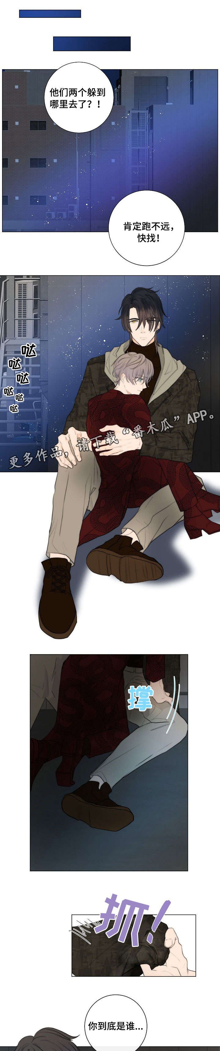 第7章：狗
