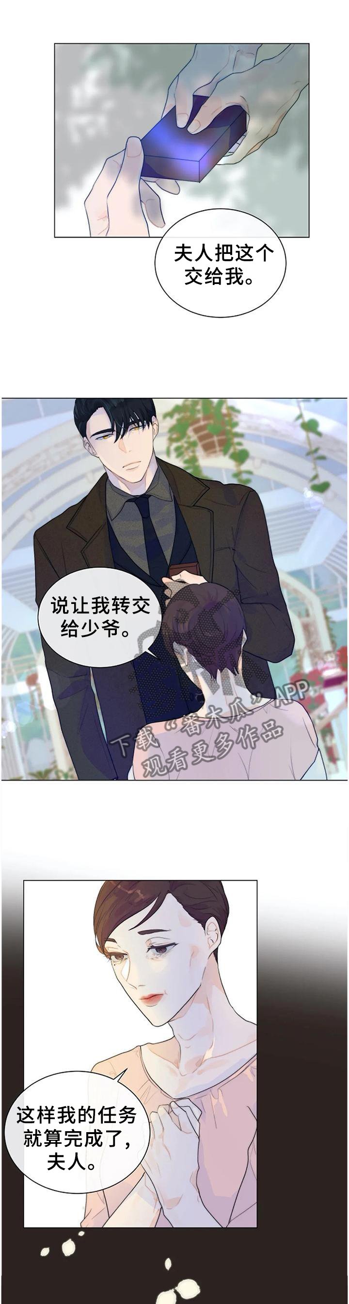 第70章：强大