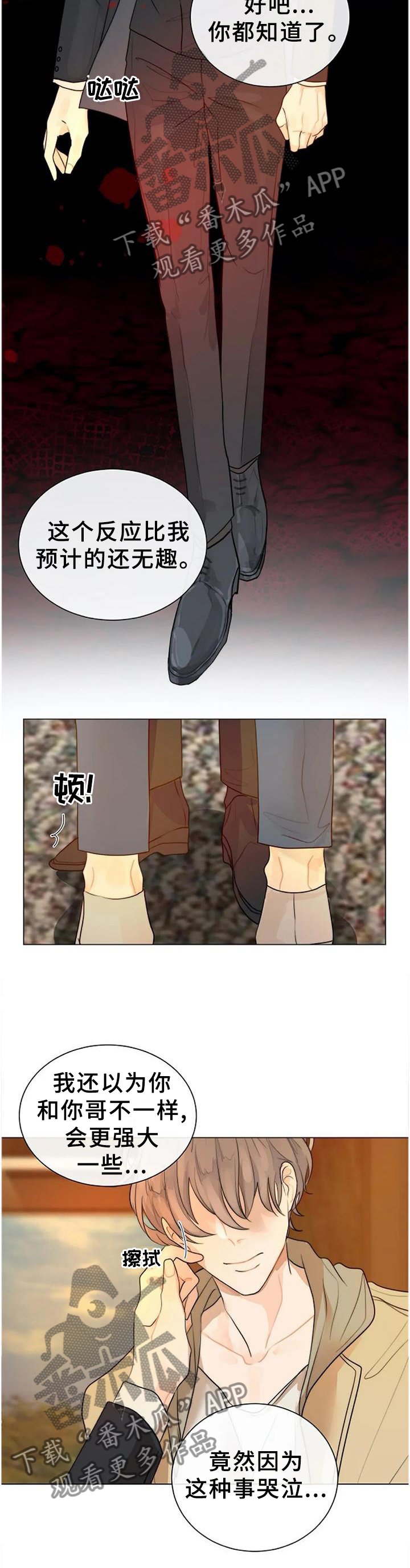 第70章：强大