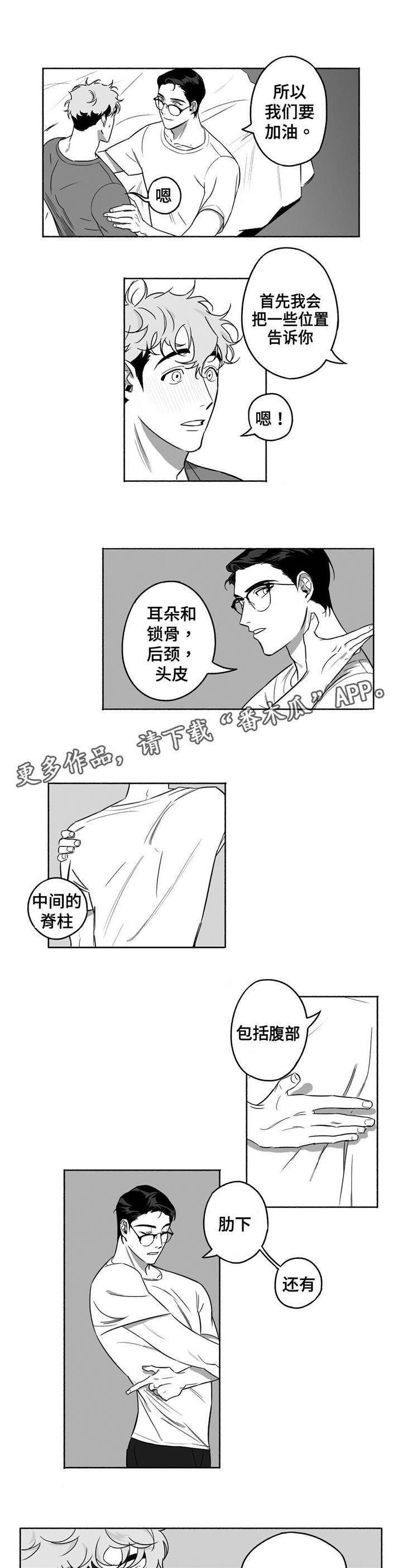 第11章：身体构成