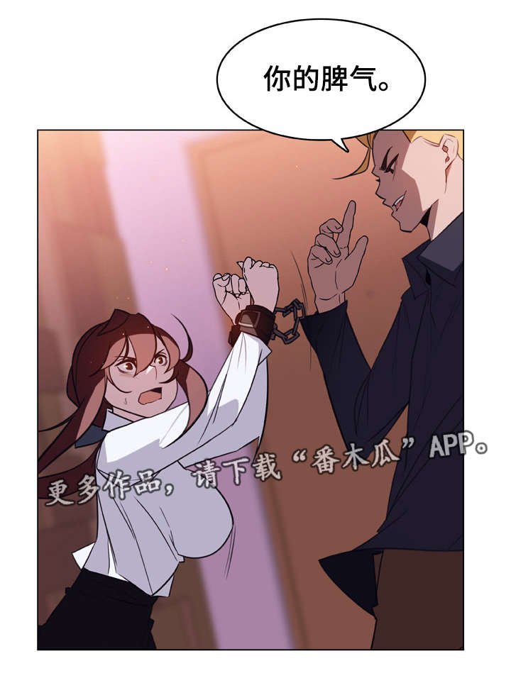 第21章：提议