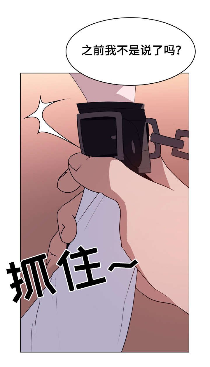第21章：提议