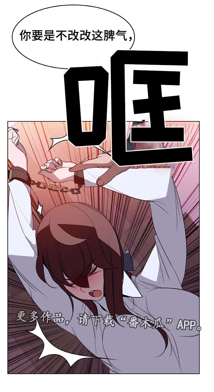 第21章：提议
