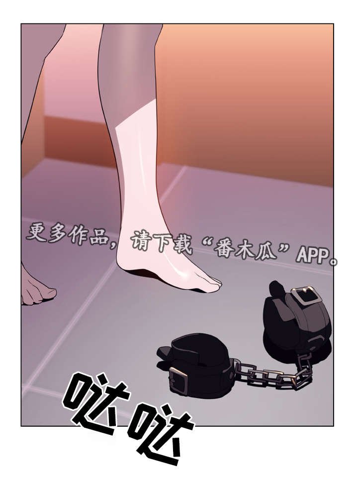 第21章：提议