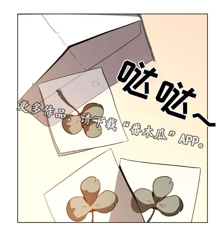 第21章：提议