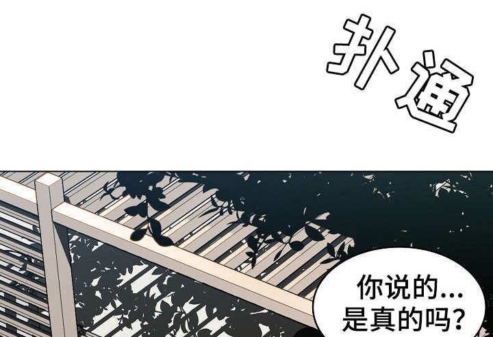 第6章：传闻
