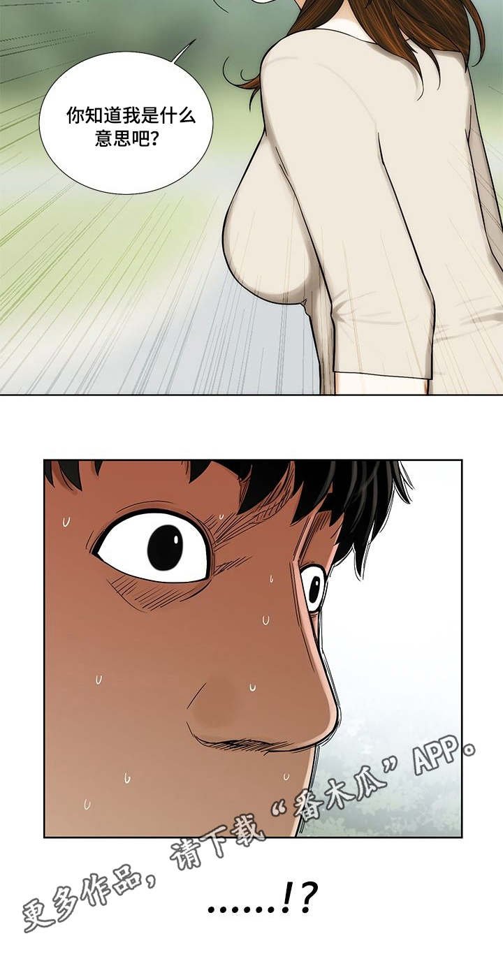 第15章：视线