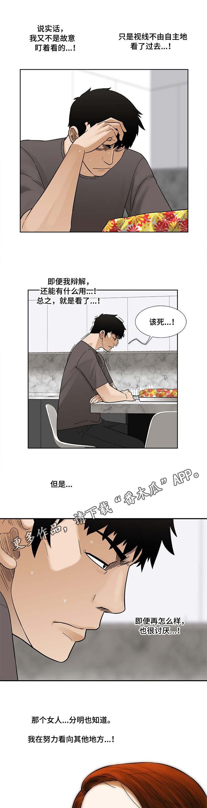 第15章：视线