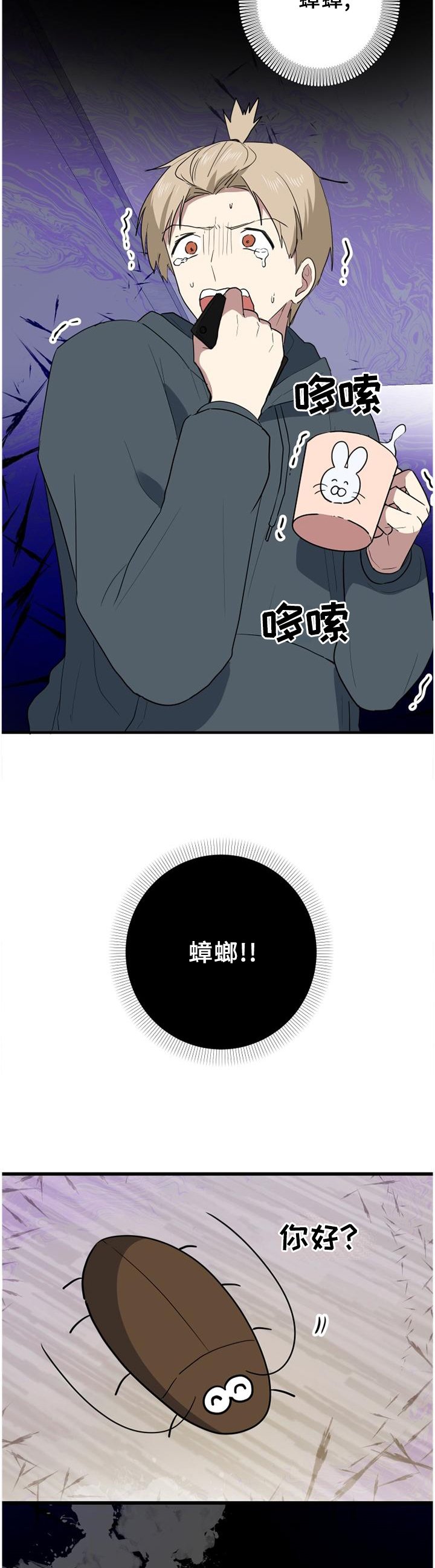第112章：蟑螂杀手