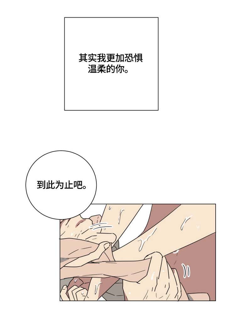 第15章：爱
