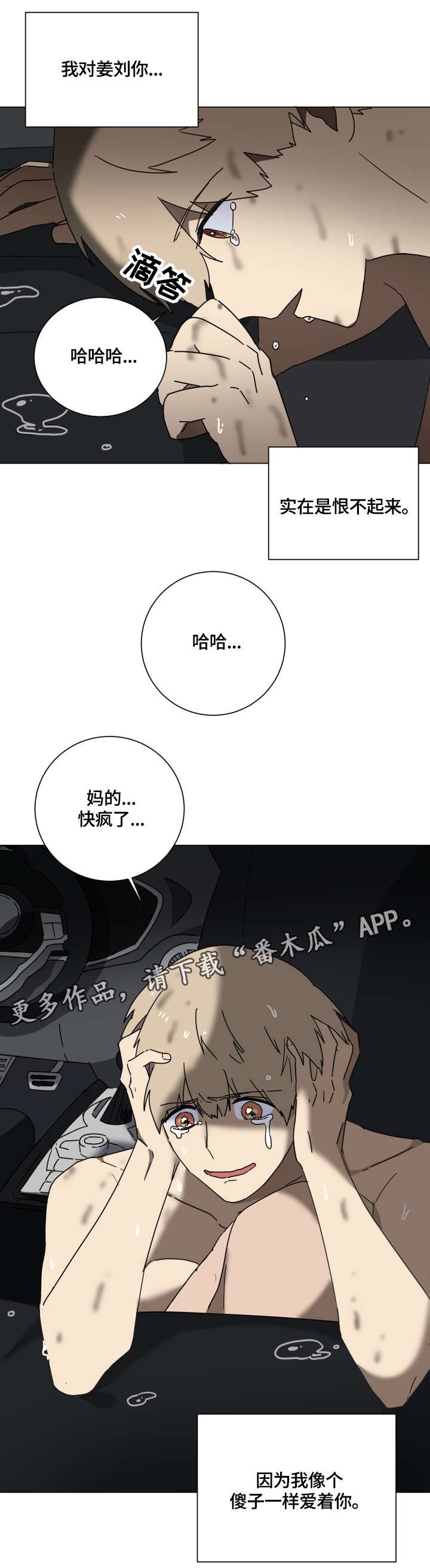 第15章：爱