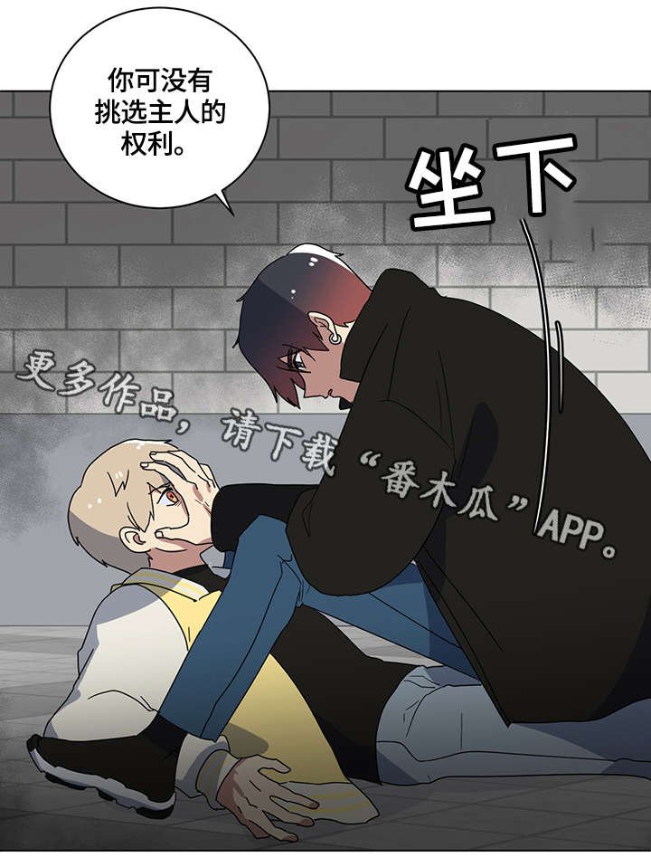 第5章：荒唐事