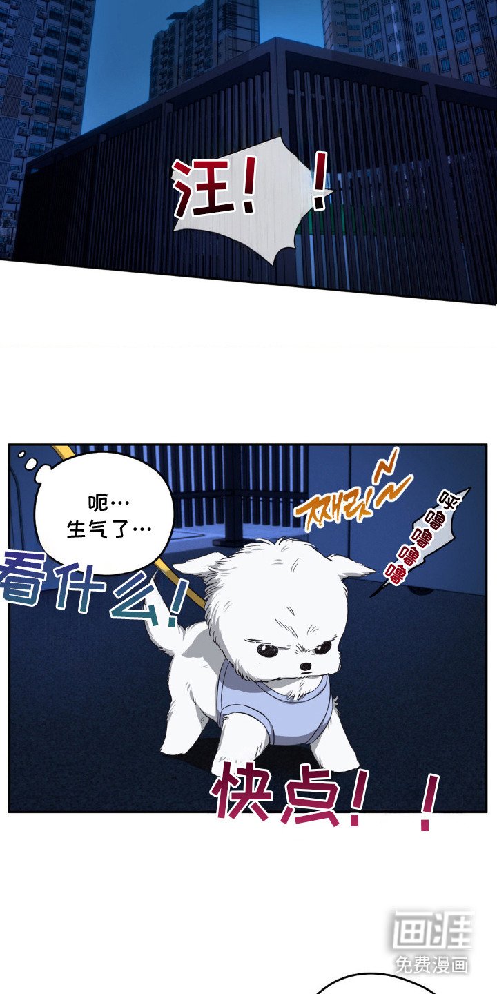 第1章：偶遇