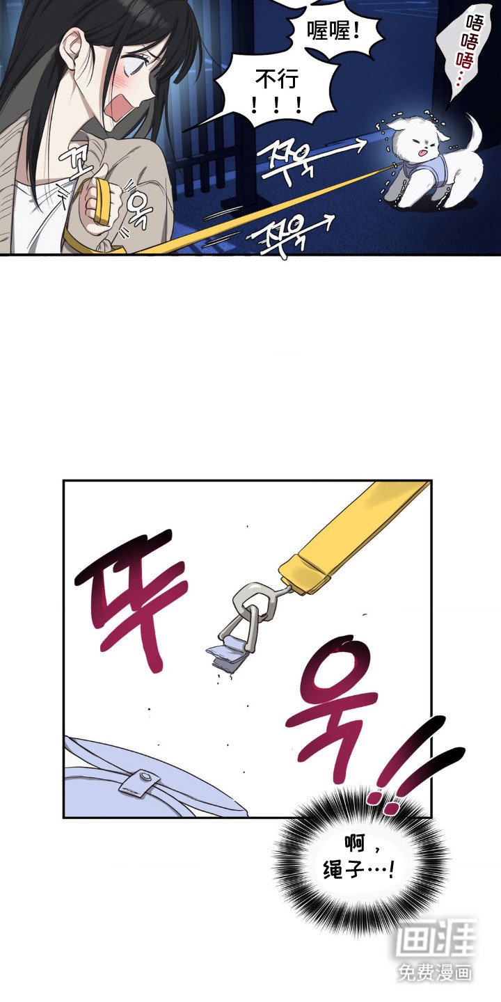 第1章：偶遇